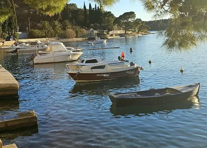 Seaview With Free Garage Parking 2 Min To Near Dubrovnik * Zaton (Dubrovnik-Neretva)